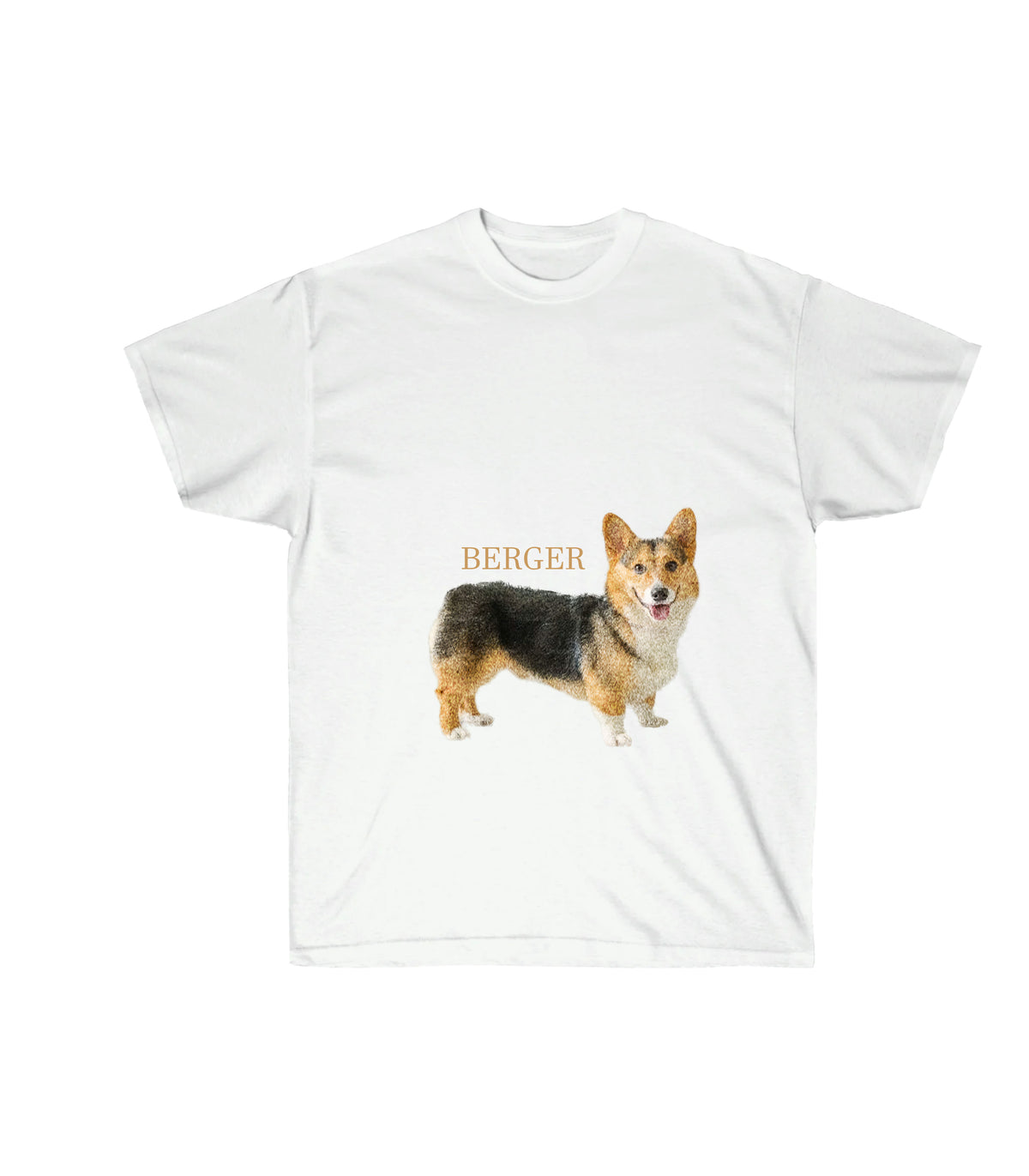 Corgi