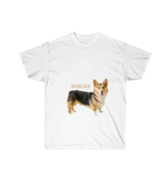Corgi